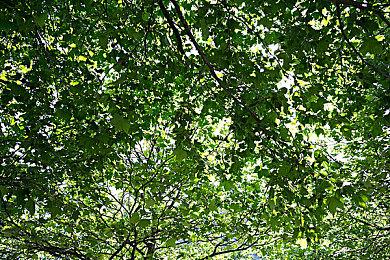 《越野车机械师模拟器》将于4月3日推出免费序章